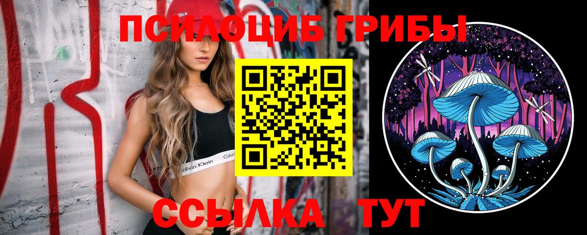 дарнет шоп  Вход с VPN  Фрязино  Галлюциногенные грибы Psilocybine cubensis  Галлюциногенные грибы Psilocybe 